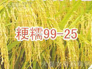 相王-粳糯99-25